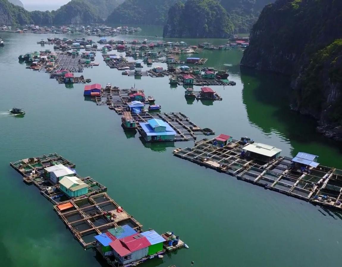 Cat Ba Thailand Hotel Dong Khe Sau Exterior photo